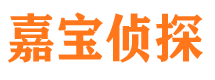 谯城侦探公司